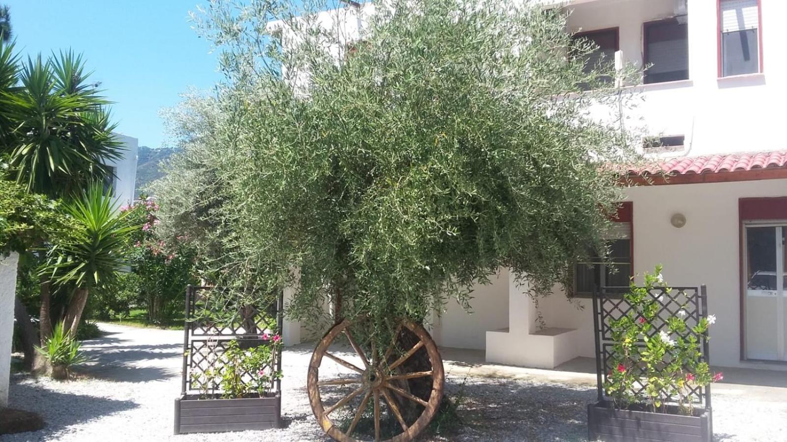 Appartamenti La Baia Del Rais Falcone Værelse billede